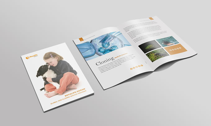 廣州特種印刷畫冊設(shè)計 廣州產(chǎn)品畫冊設(shè)計印刷